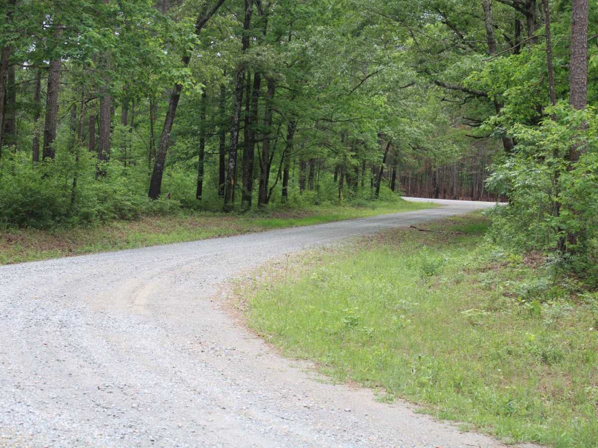 Circle Through the Past in Kisatchie photo 6