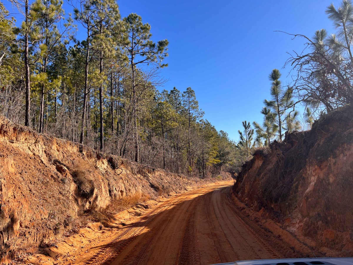 Moore Road trail photo