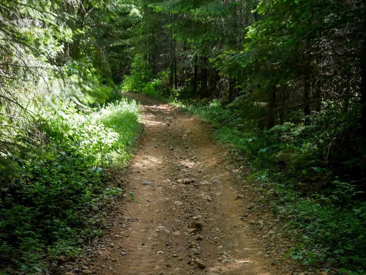 #43 Connector trail photo