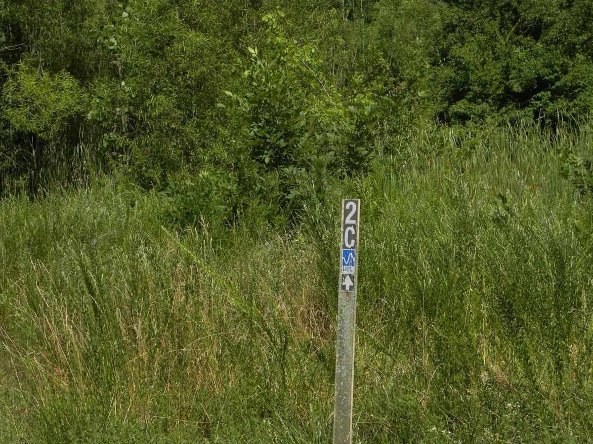 Trail 2C(intermediate) trail photo