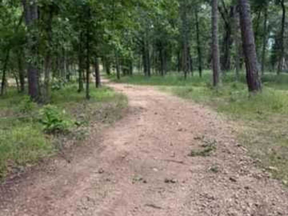 Mimi's Trail photo 3