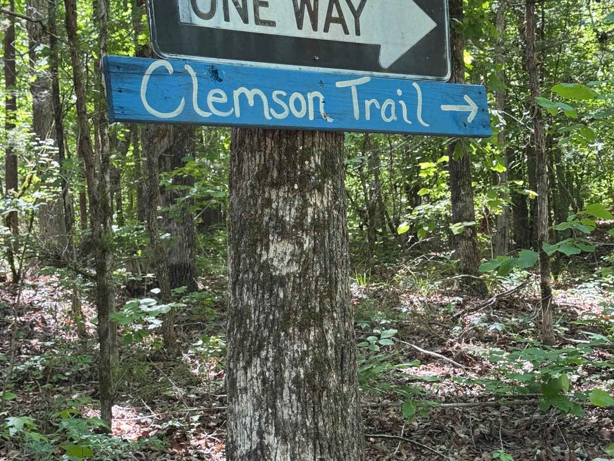 Clemson/Tornado Cutoff trail photo