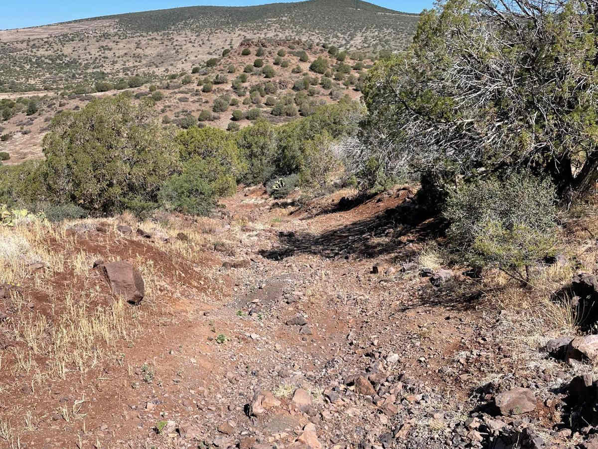 Juniper Hill Loop trail photo