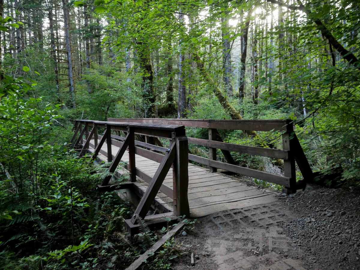 Howell Lake trail photo