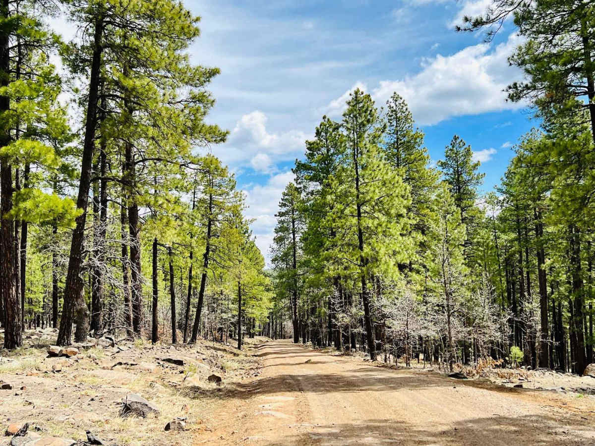 Long Valley Dispersed photo 5