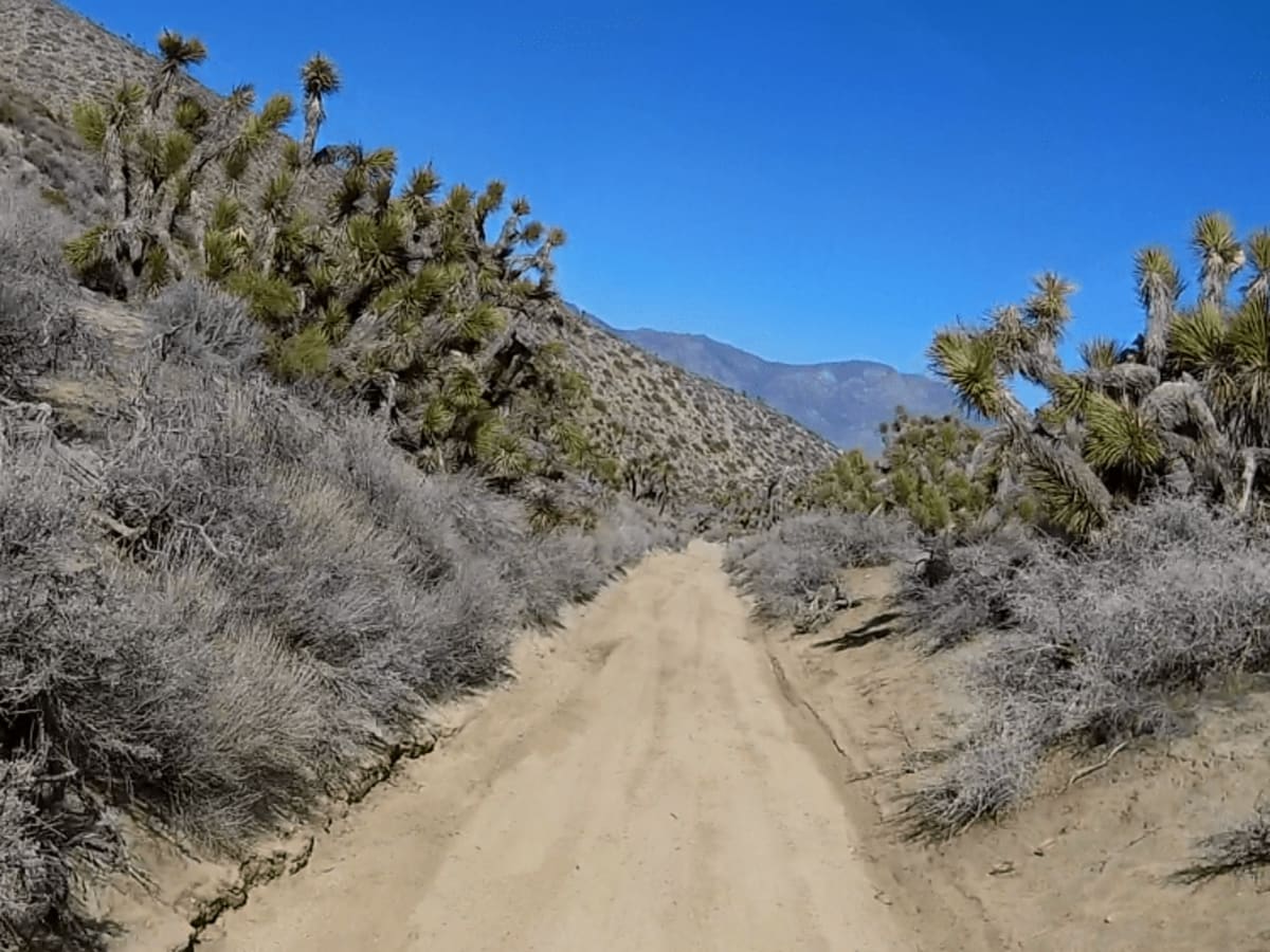 Dove Springs Access Trail photo 3