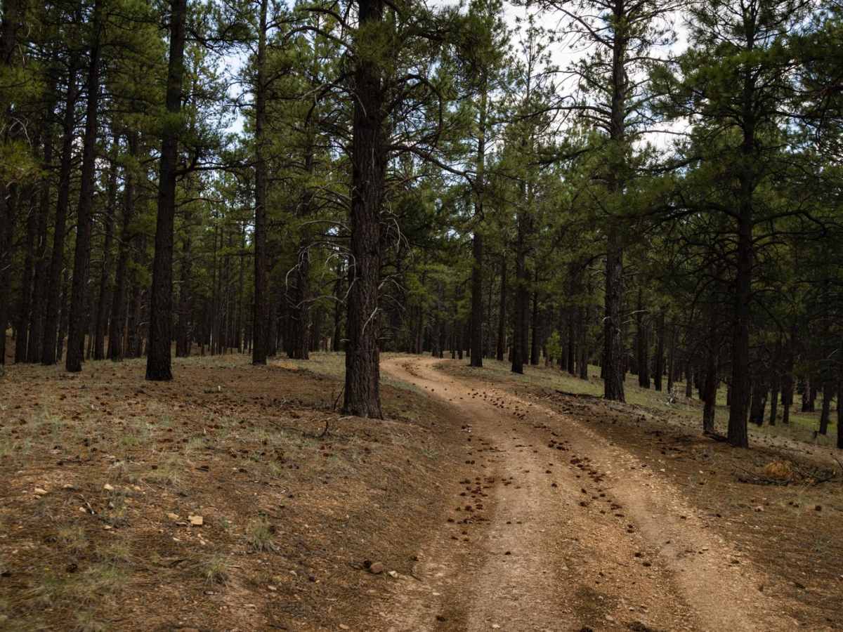 Elk Spring photo 5