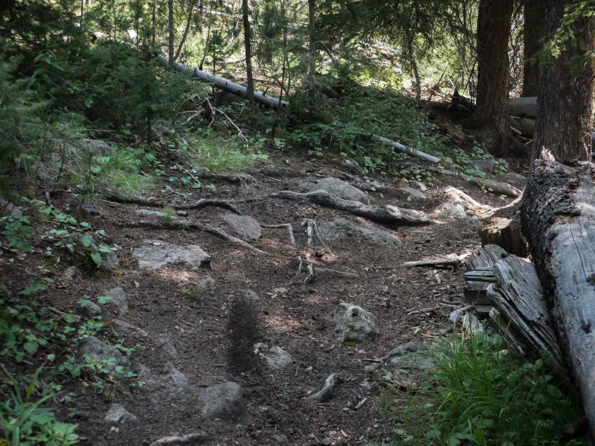 Squaw Creek photo 3
