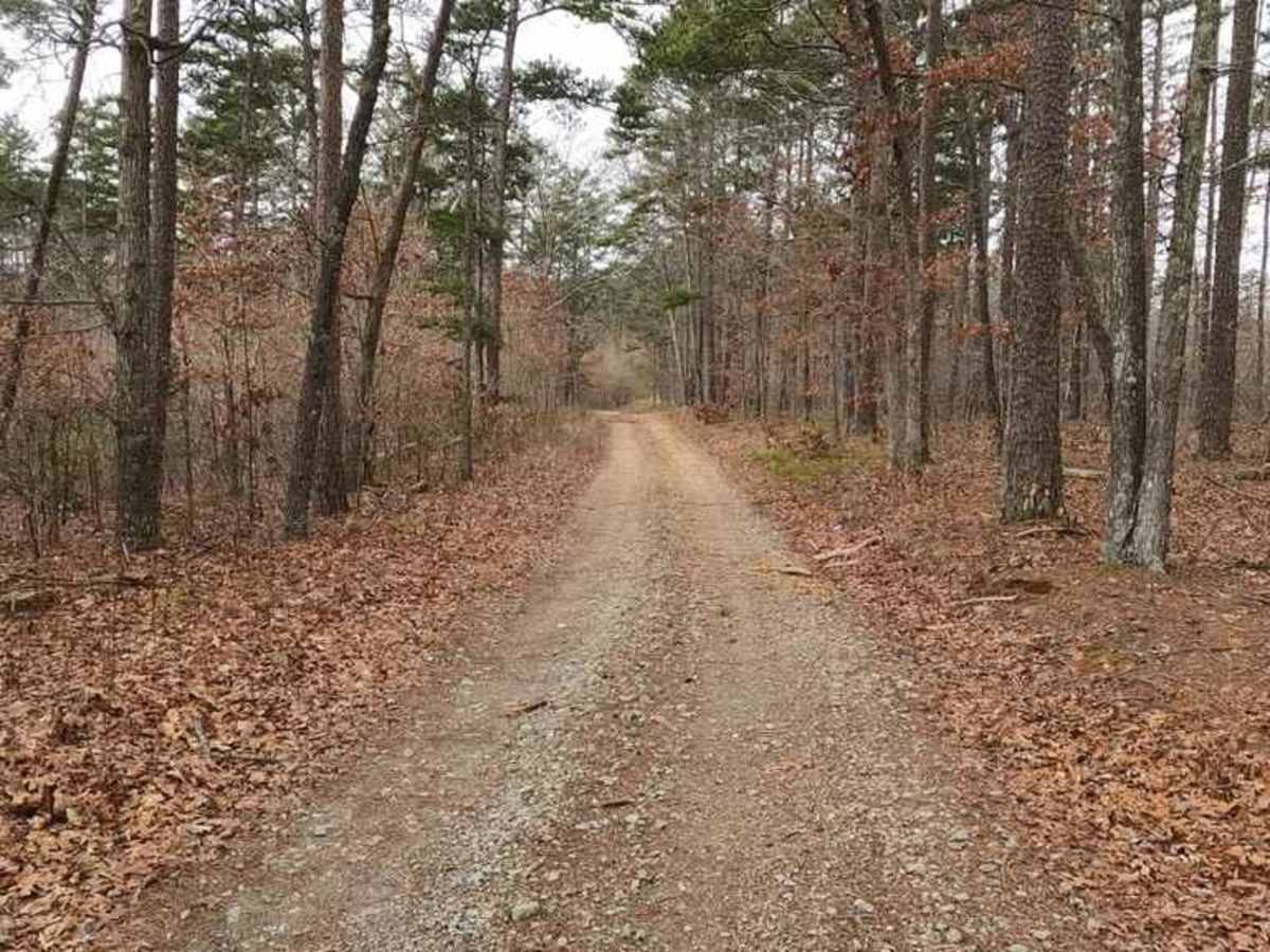 Pine Union Hilltop FSR 2137 photo 6