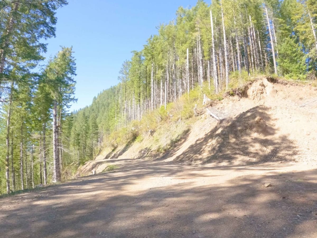 Cedar Butte Road trail photo