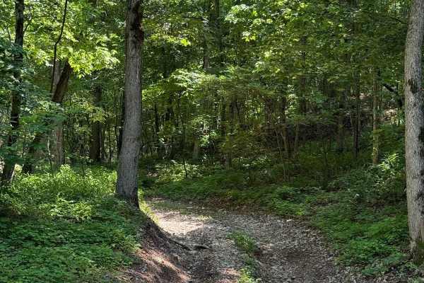 Gunnar's Trail