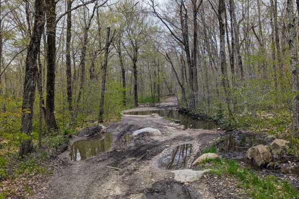 Risky Ranch Road (VT TR 302)