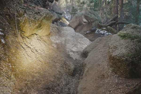 683 Fern Trail
