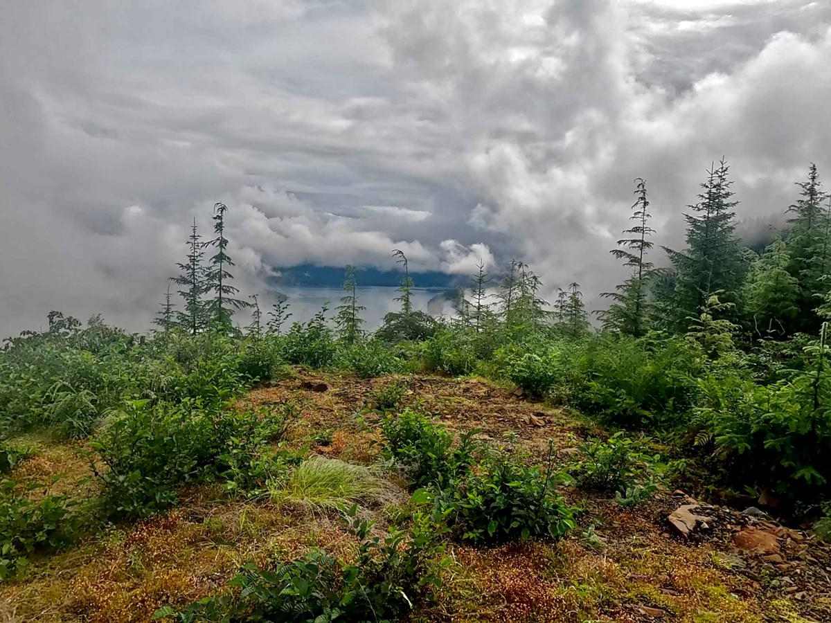 Old Hermit Spur Road - 50052 photo 4