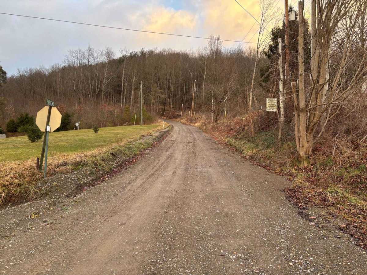 Hopkins Road trail photo