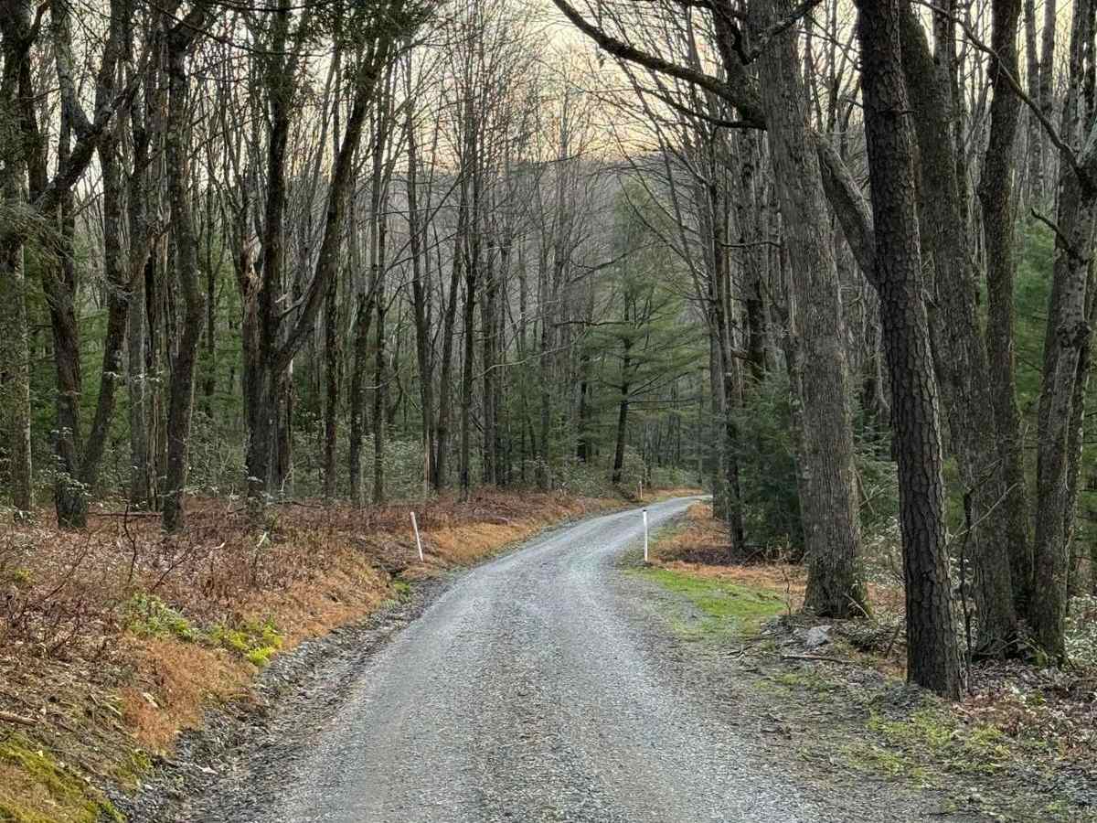 Middle Branch Road photo 2