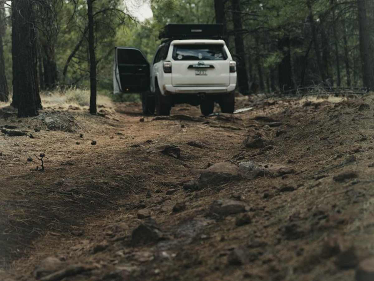 Deer Run Trail photo 3