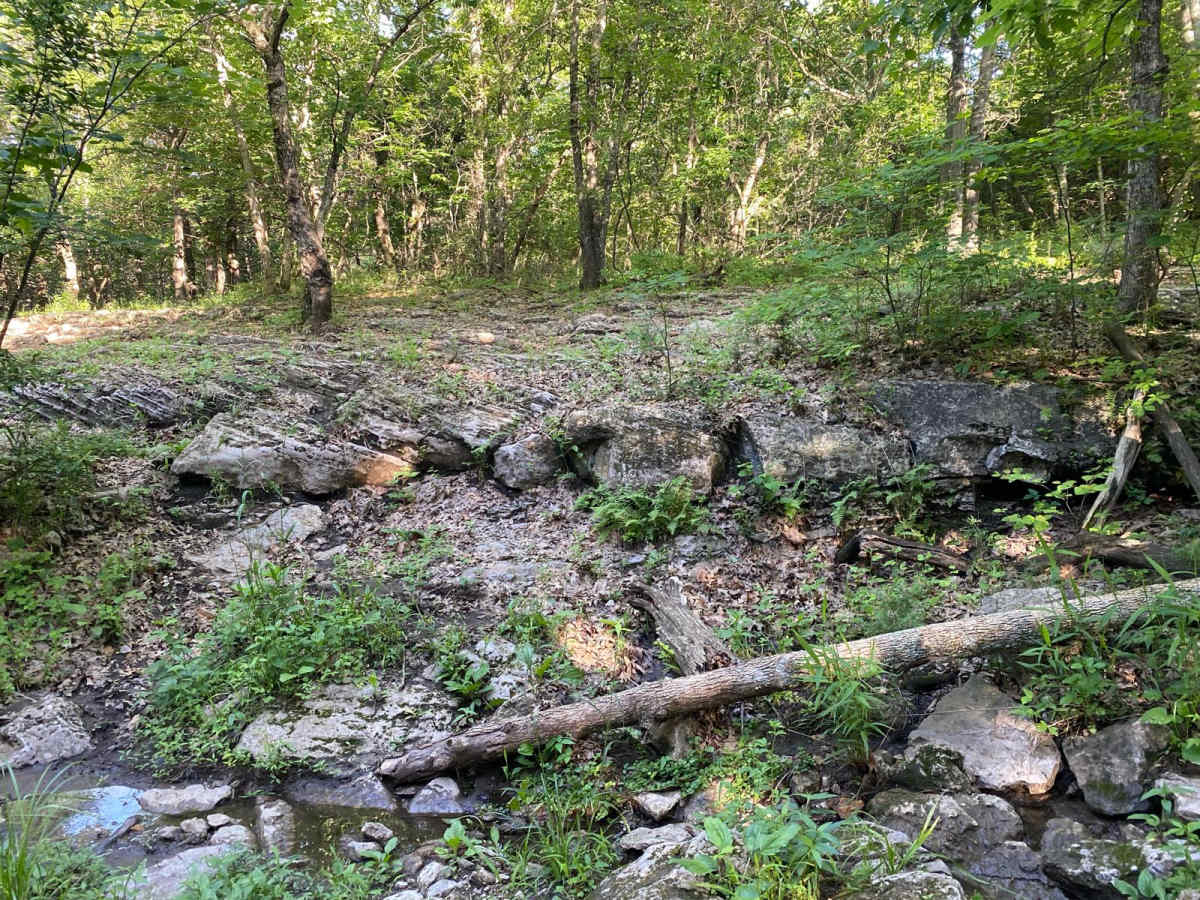 Scotty's Spot photo 5
