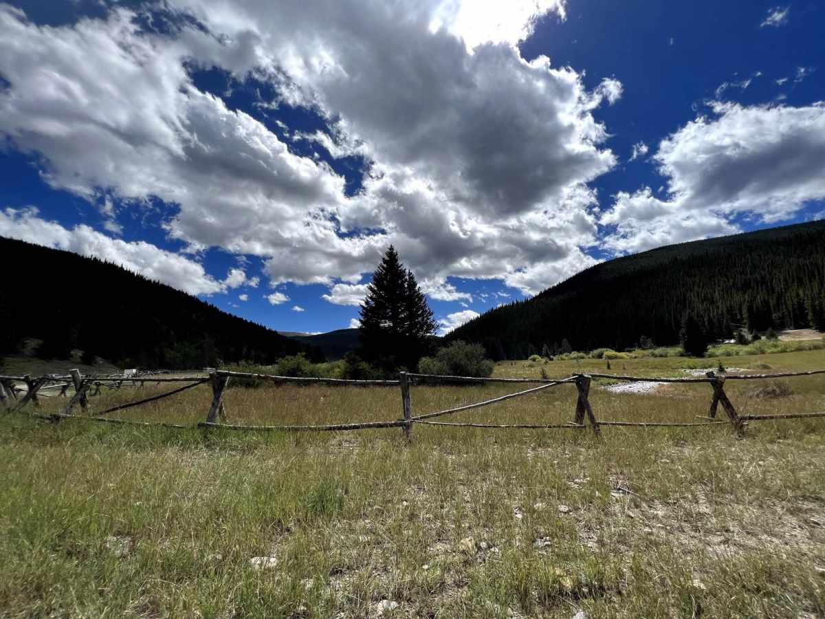 Tiger Road to Greenhorn Gulch photo 6