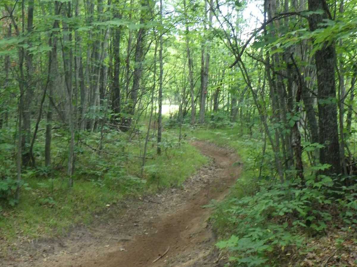 Beaver Creek MCCCT-Trail 14808 photo 4
