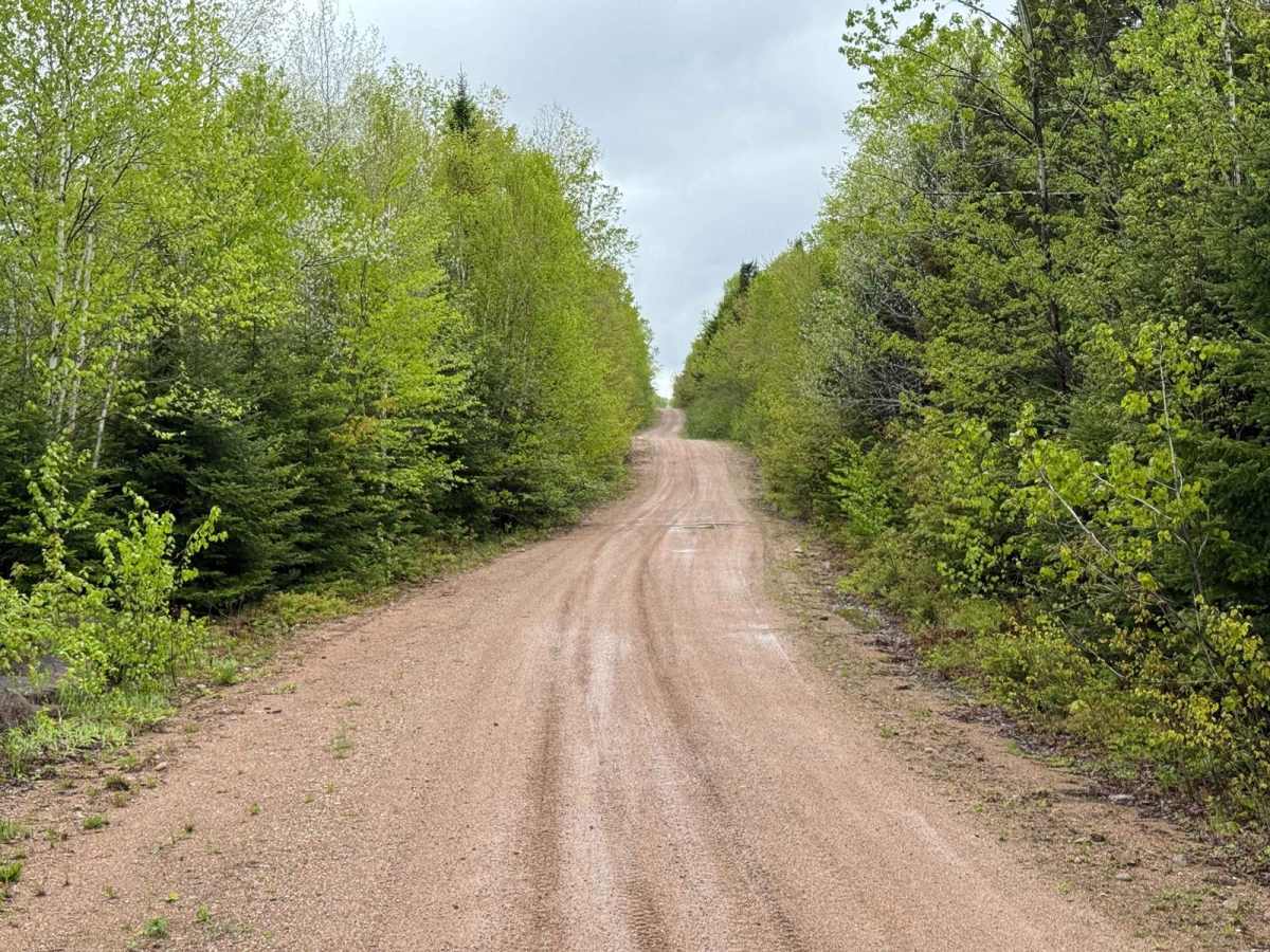 Sweet Road photo 5
