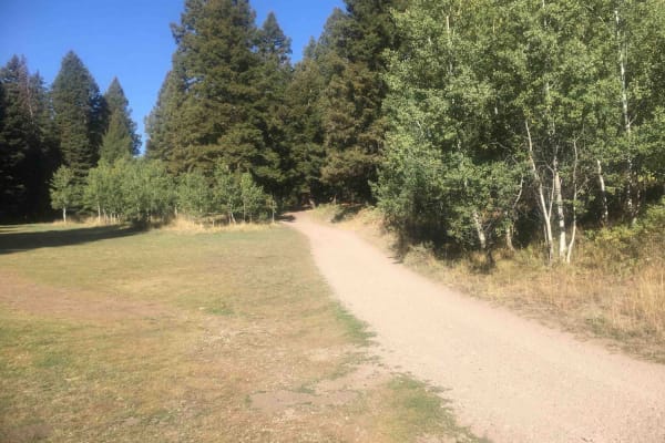 Stoddard Creek Loop Trail