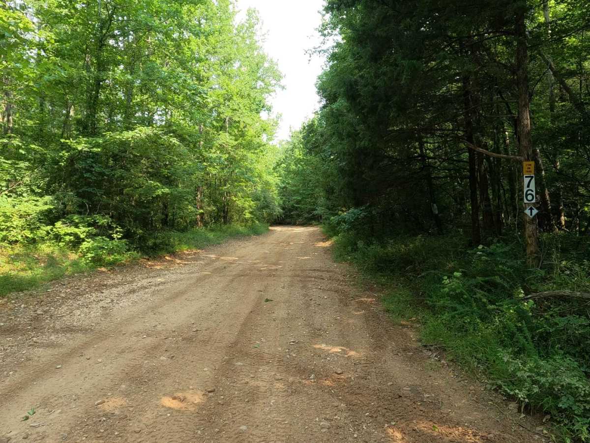 8 to 6 Road trail photo