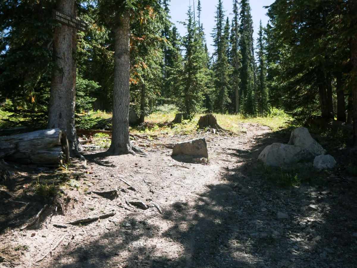 Hillside Connector photo 6