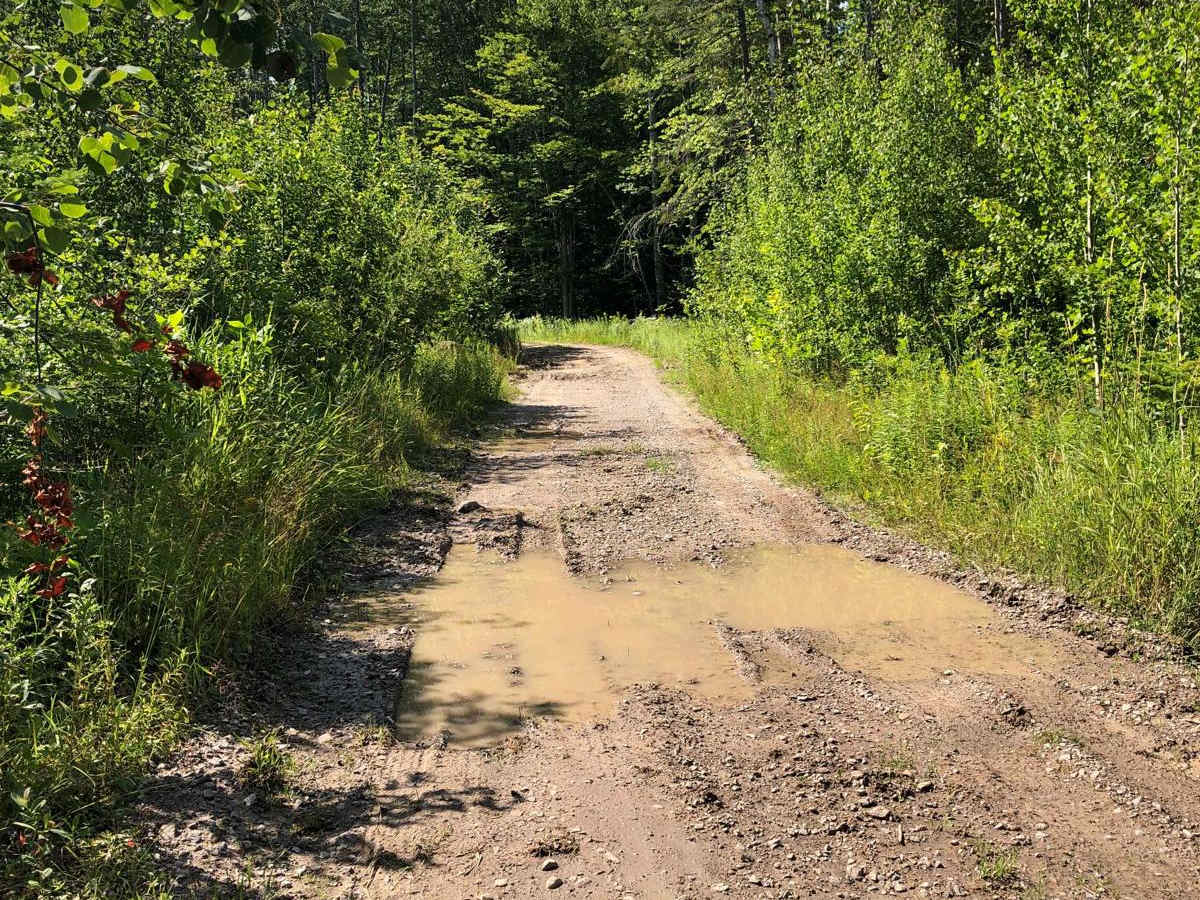 Vermeersch Trail photo 2
