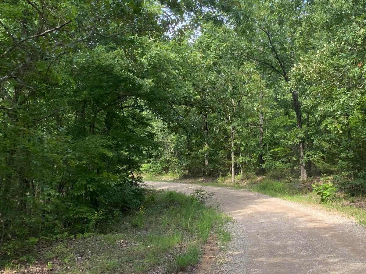Palmer Lake Loop trail photo