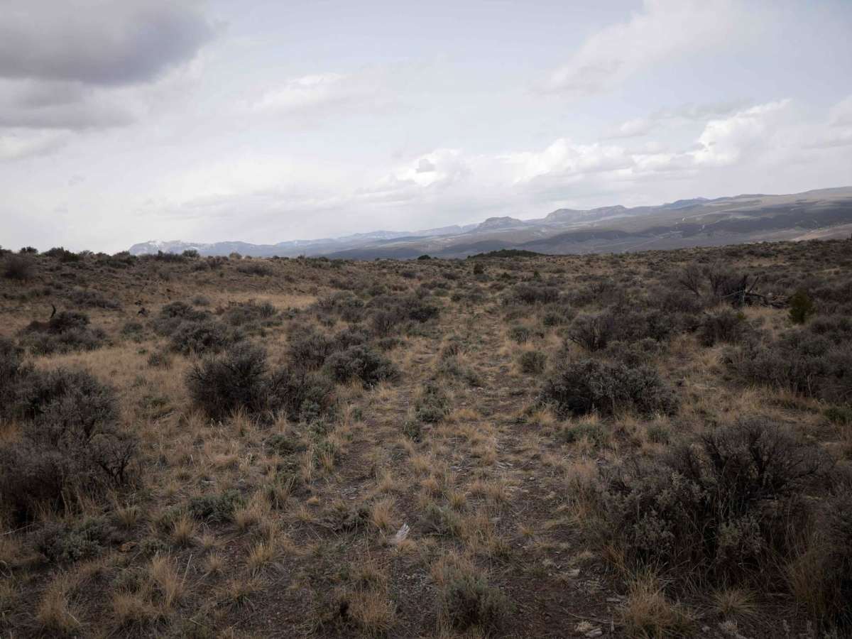 Marshall Canyon ATV Trail photo 3