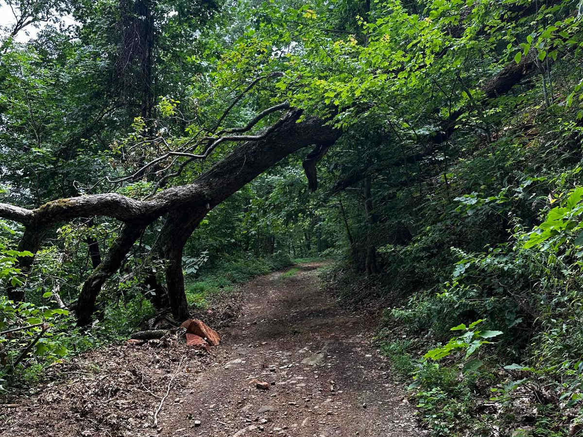 Horseshoe Ridge photo 5