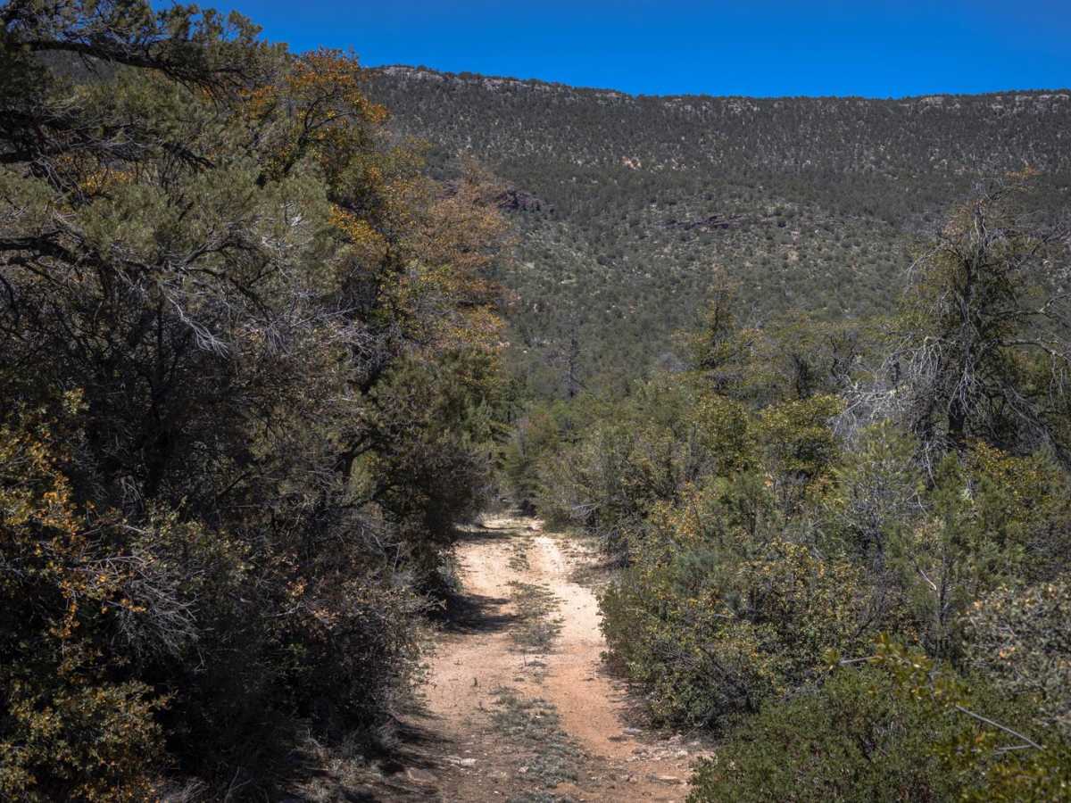 Lee Spring photo 5
