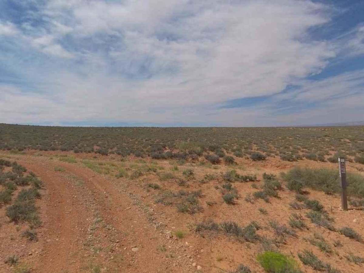BLM13480 photo 3