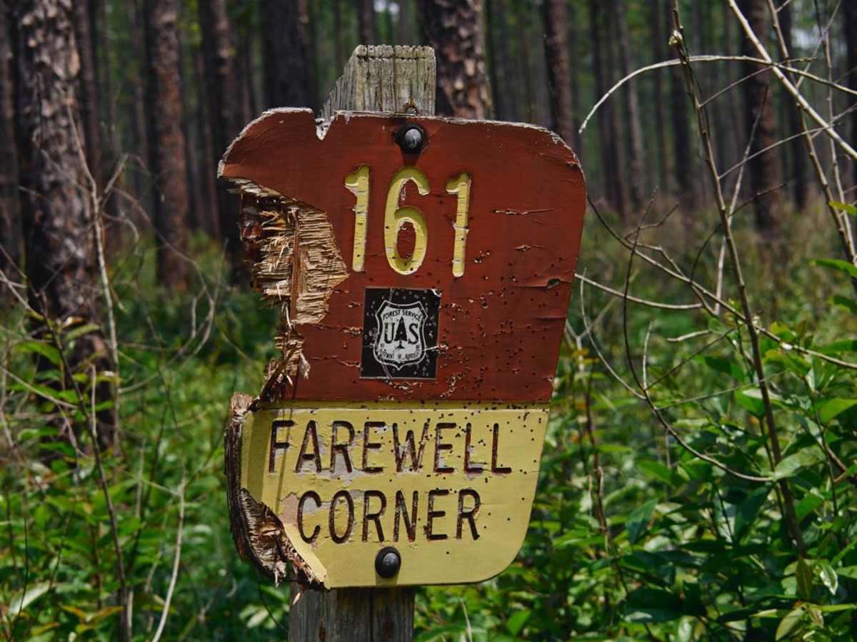 Farewell Corner - FSR 161 trail photo