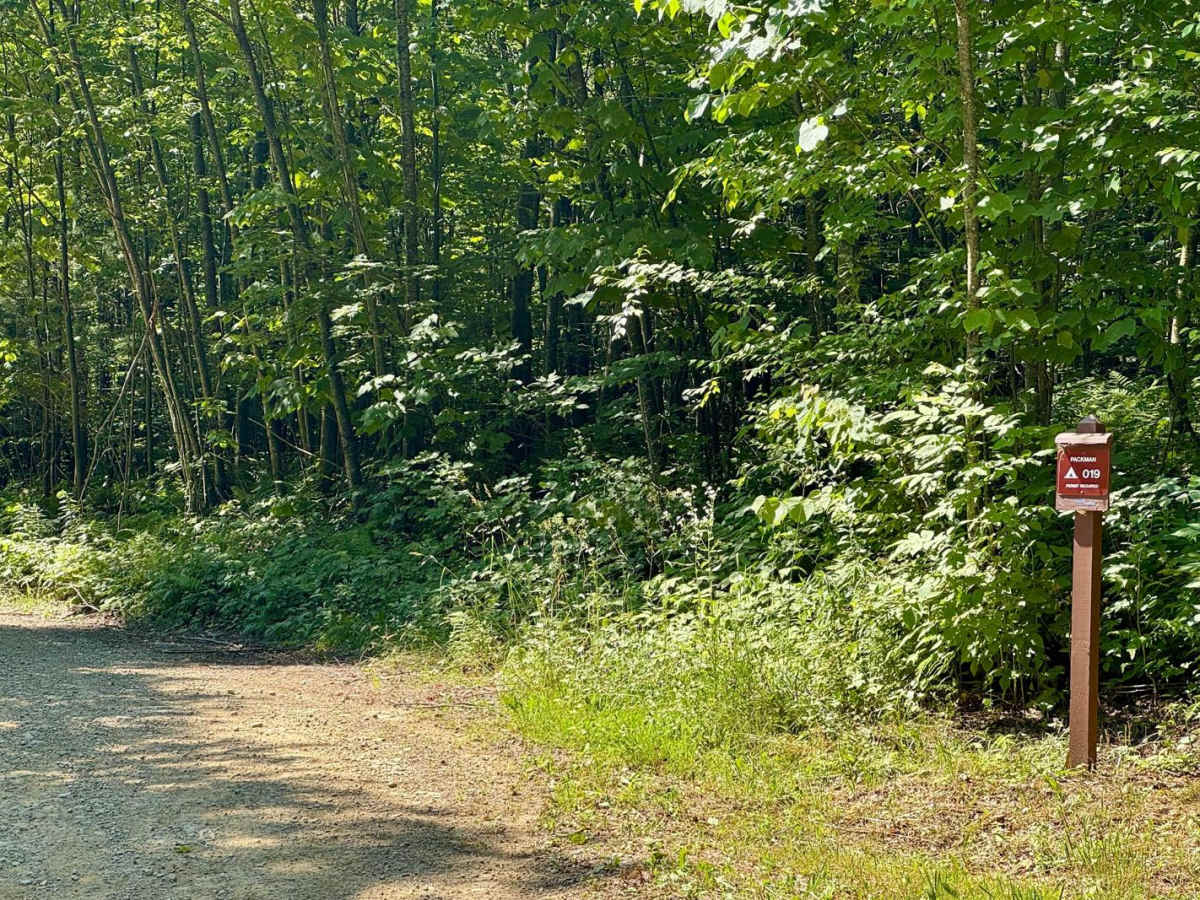Rock Run Road photo 5
