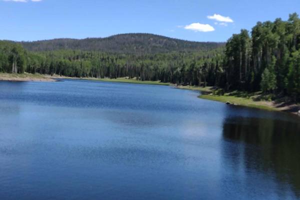 Annabella Reservoir/Deep Lake - FS 40080