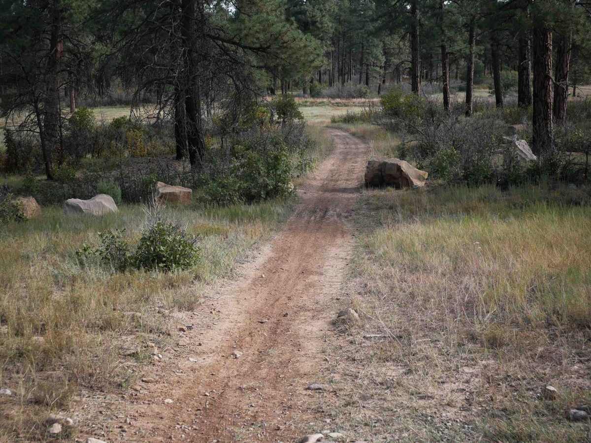 608 Connect- 694 trail photo