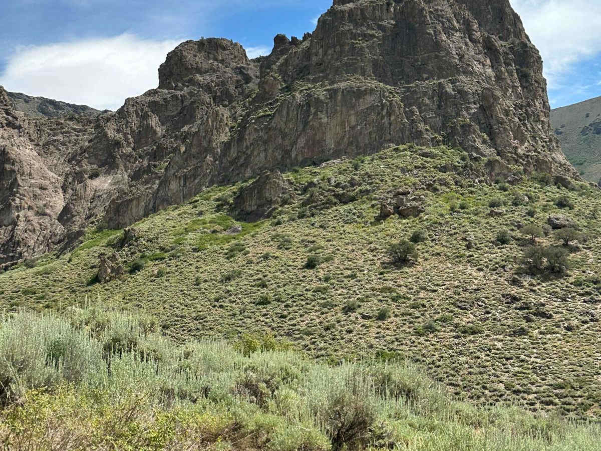 Hinkey Summit Trail photo 4