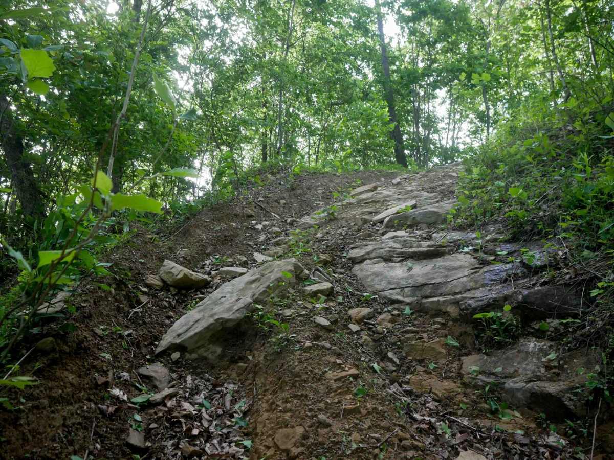 RV53 trail photo