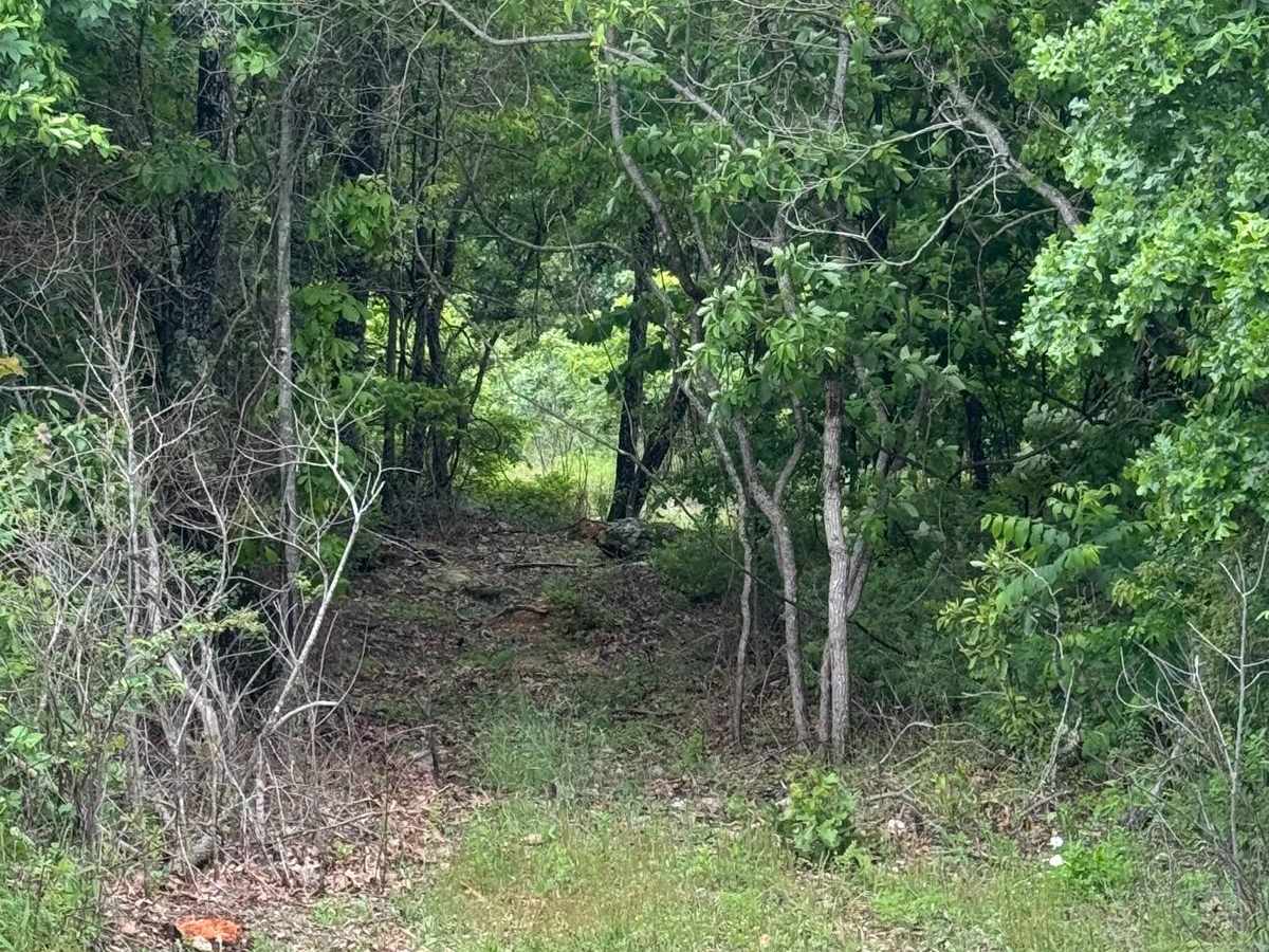 Hudson's Hideaway trail photo