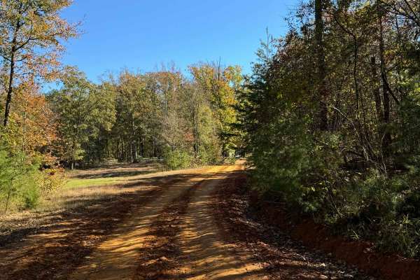 #80 Road to Primitive Camping