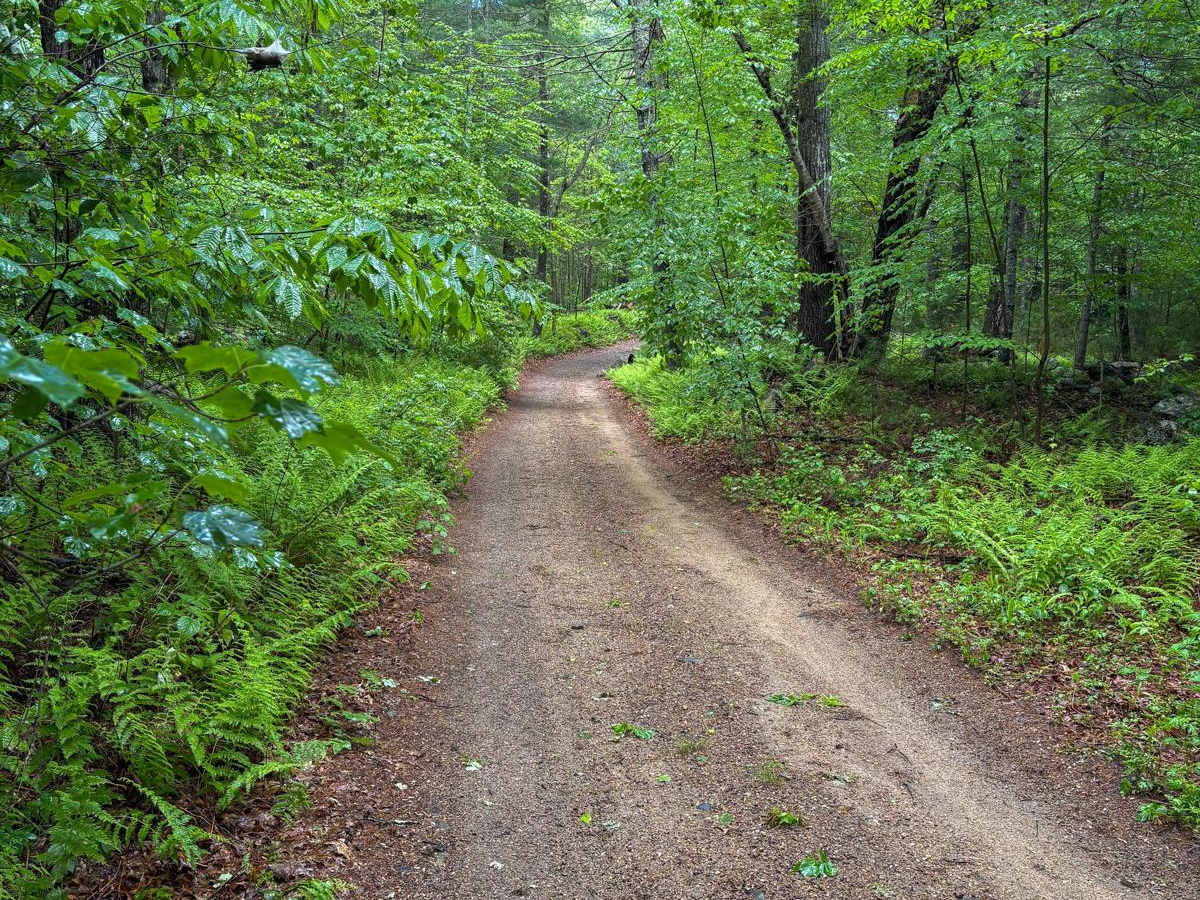 Miles Standish Road photo 2