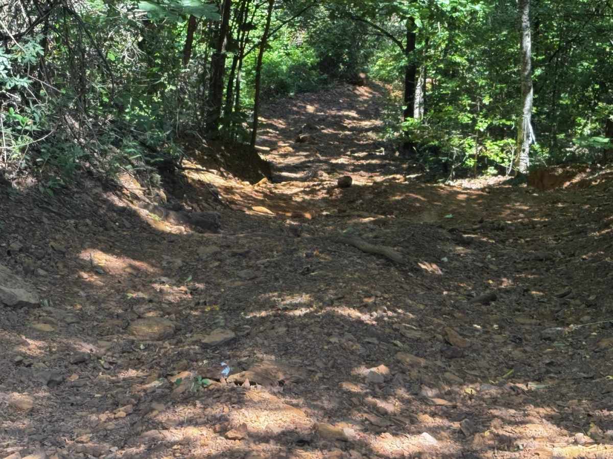 Horseshoe Gulch trail photo