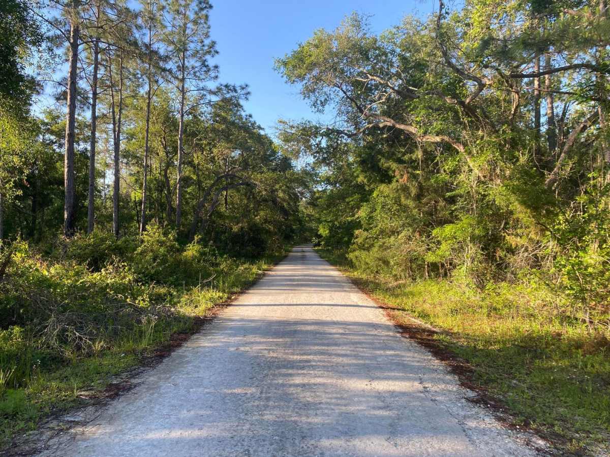McKinney Sink Road photo 4