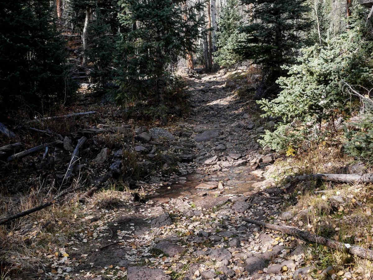 Middle Alder ATV - 797 photo 3