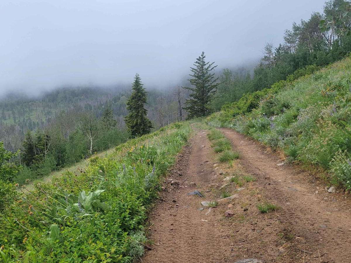 Upper Buck Mountain photo 2