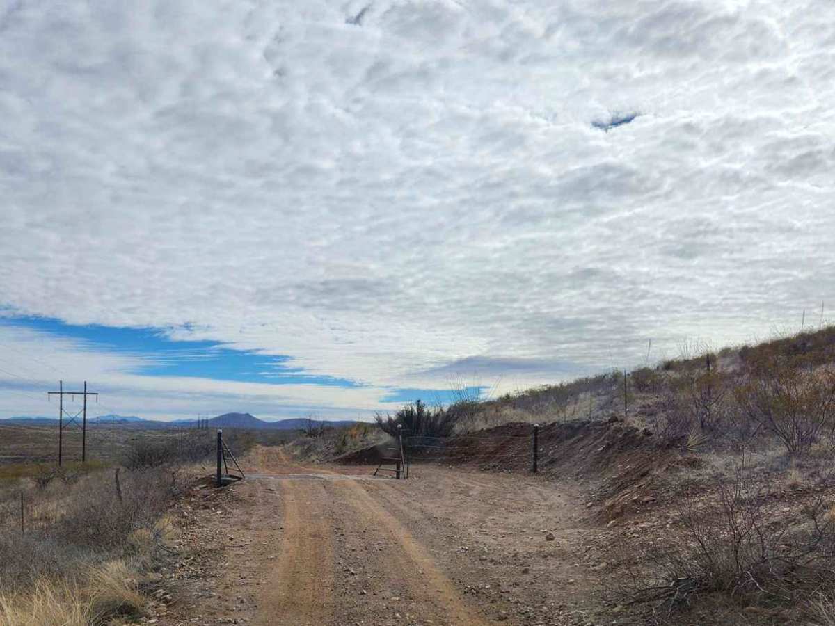 Powerline Road photo 3