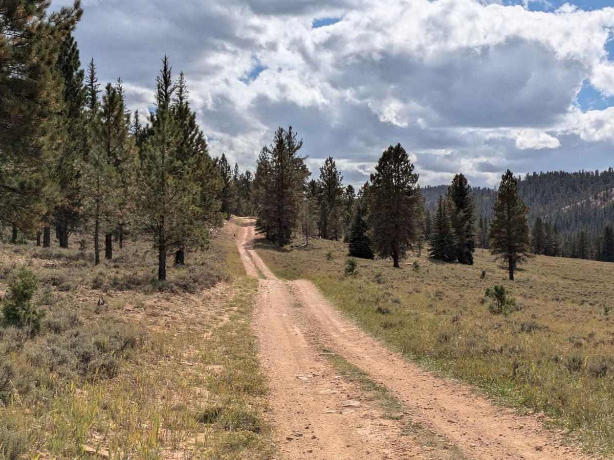 The Great Western Trail North photo 4