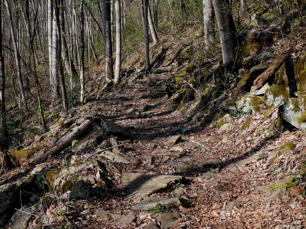 Sunset Connector Trail 9 (One-Way) photo 2